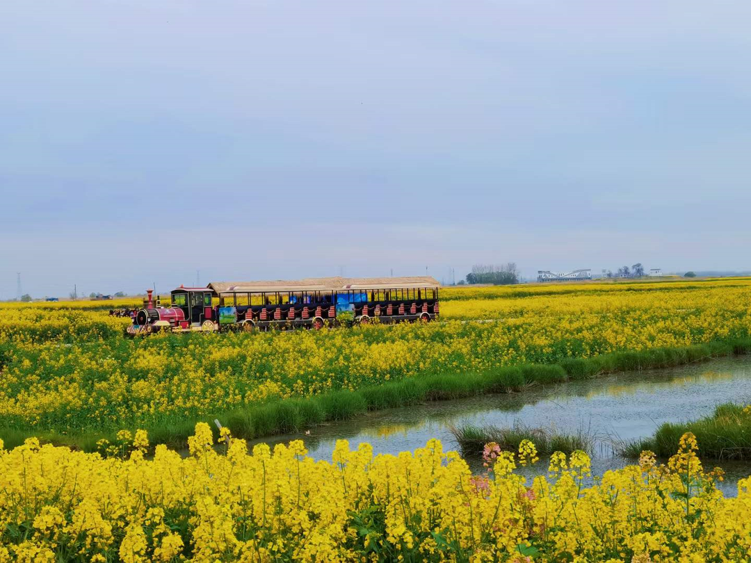 image.png 图片