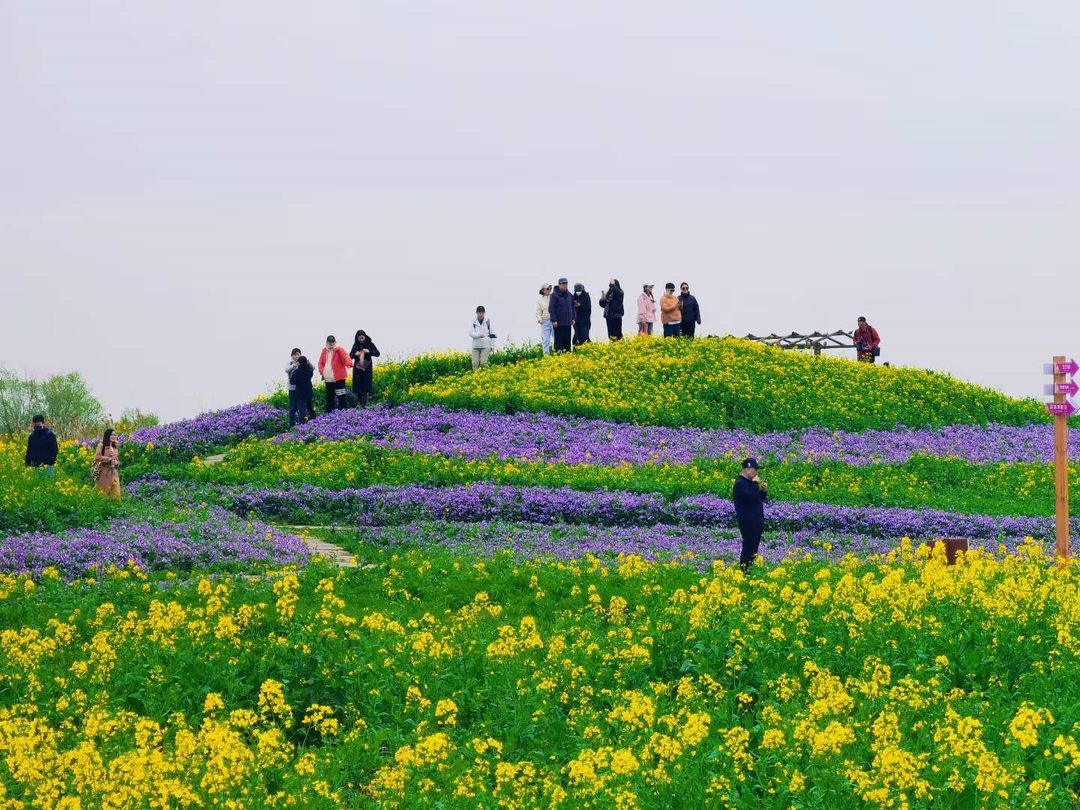 image.png 图片