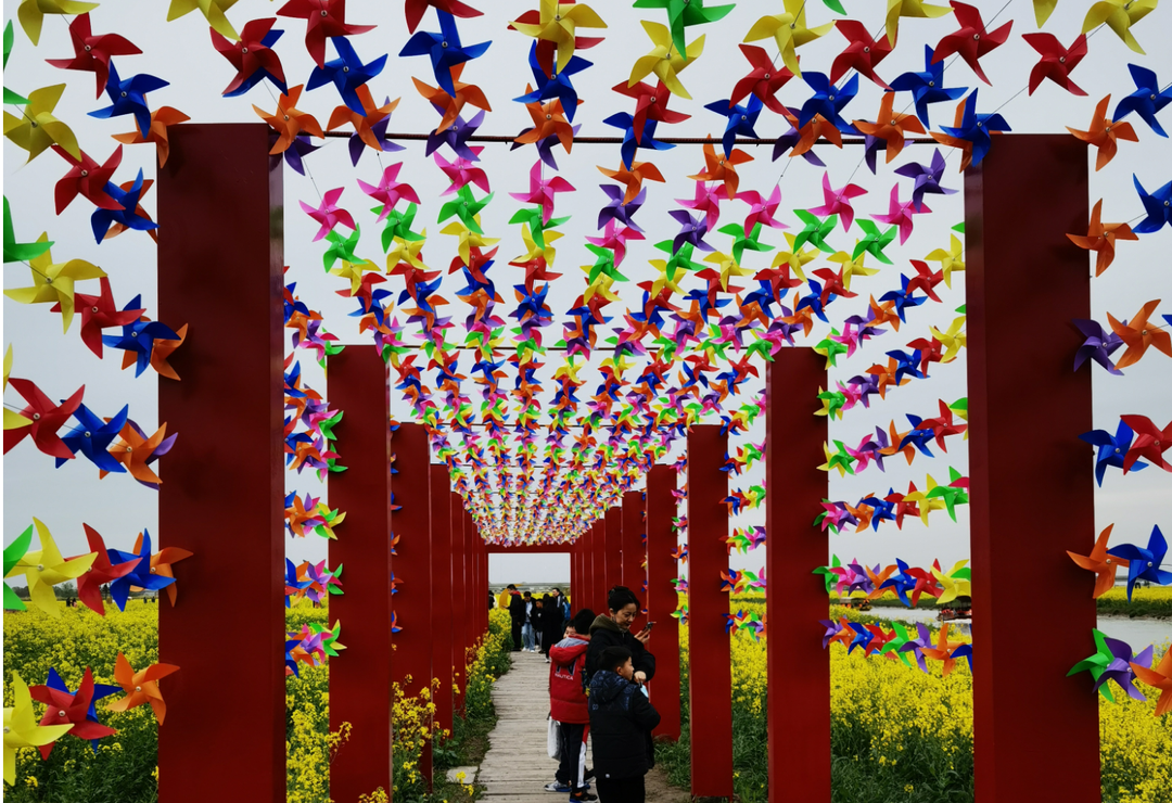 image.png 图片
