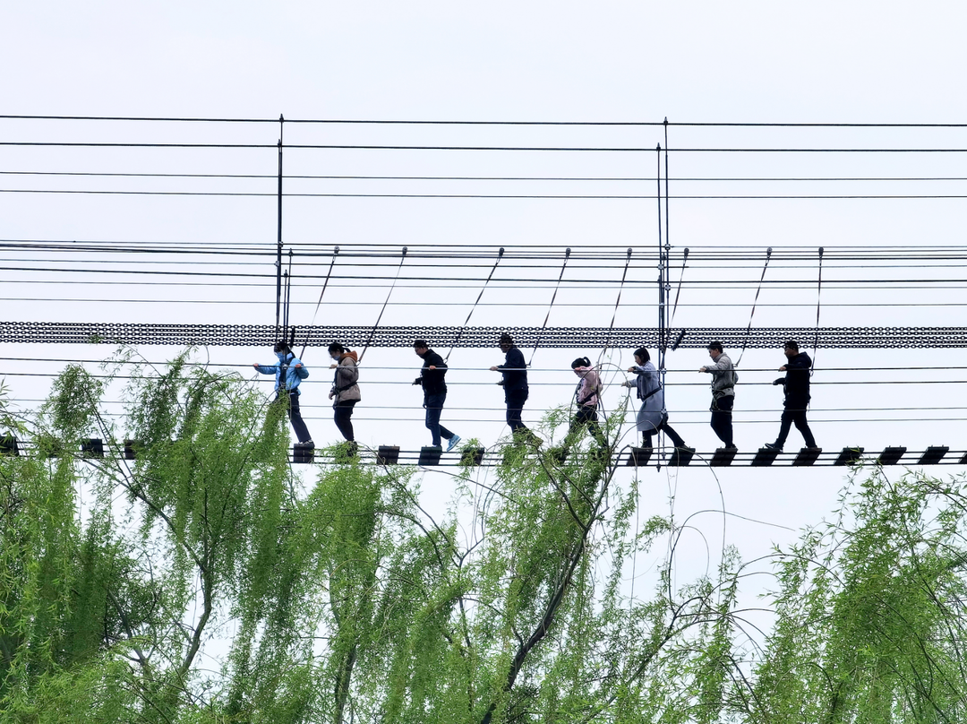 image.png 图片